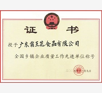 全國鄉(xiāng)鎮(zhèn)企業(yè)質量工作先進單位