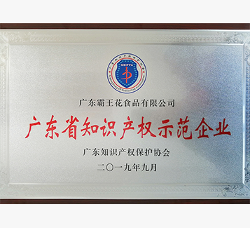 廣東省知識產(chǎn)權示范企業(yè)