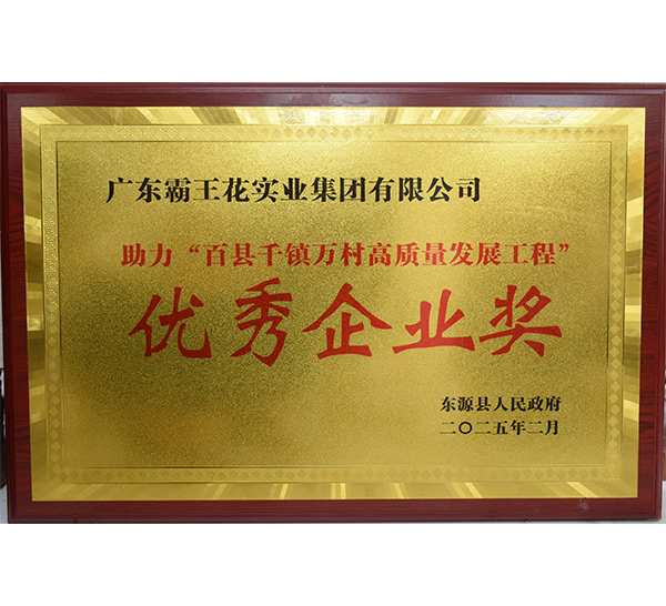 助力“百縣千鎮(zhèn)萬村高質量發(fā)展工程”優(yōu)秀企業(yè)