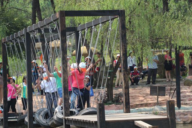 1533271563947953.jpg 2.jpg