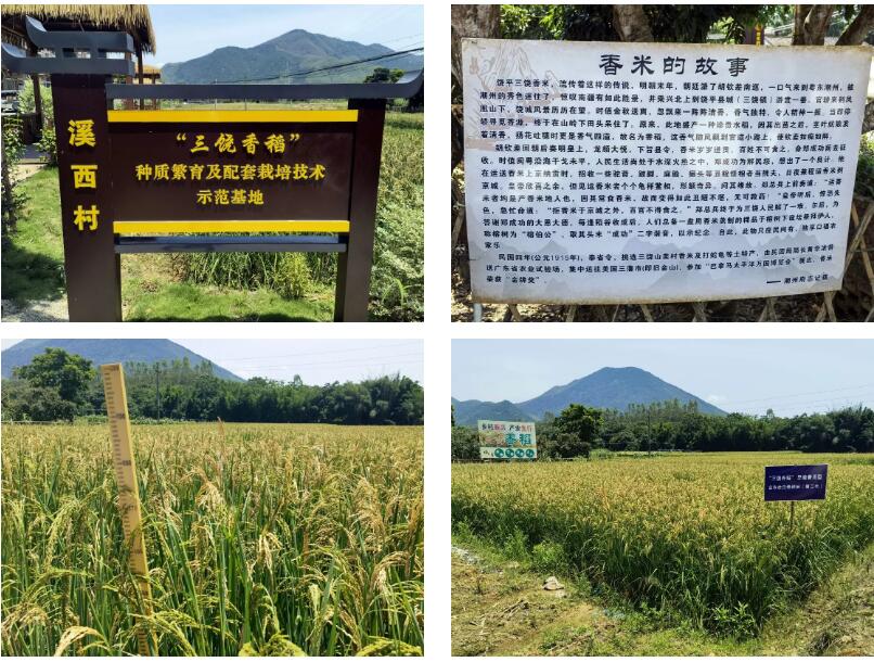 1658157337897700.jpg QQ截圖20220718231509.jpg